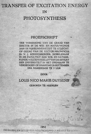 Doctor Thesis of Duysens
