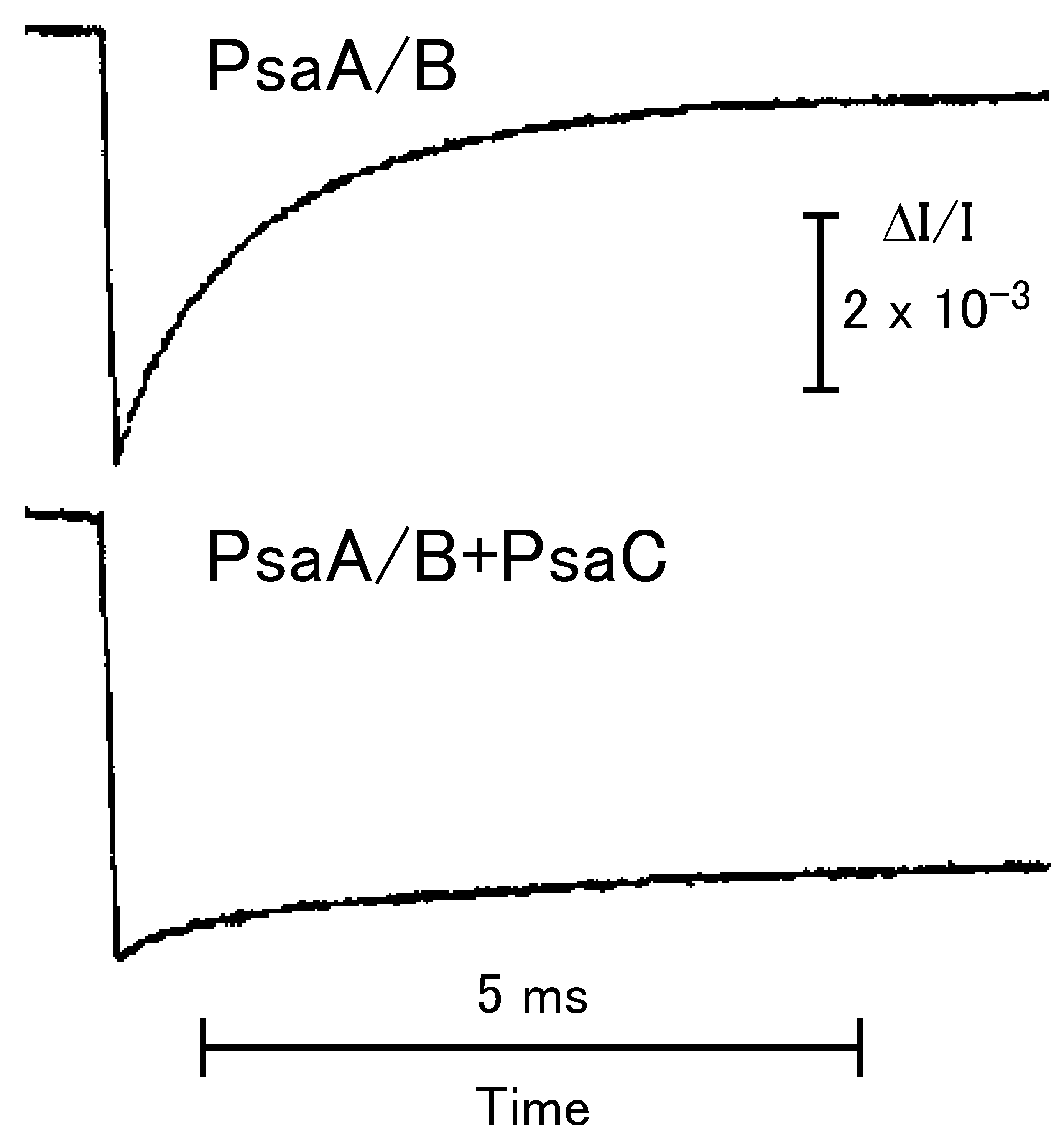 P700の酸化還元による吸収変化
