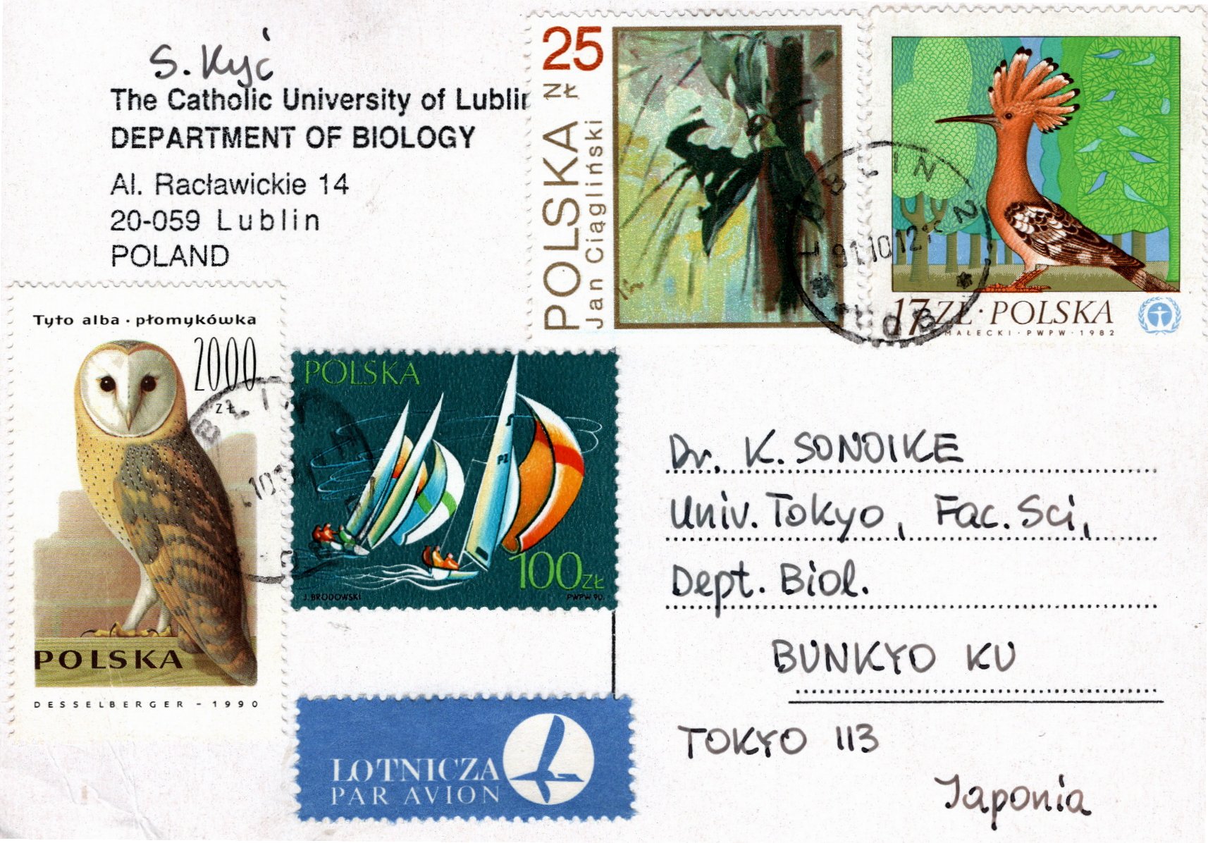 別刷り請求の葉書