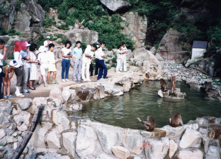 光化学系ⅠにおけるP700